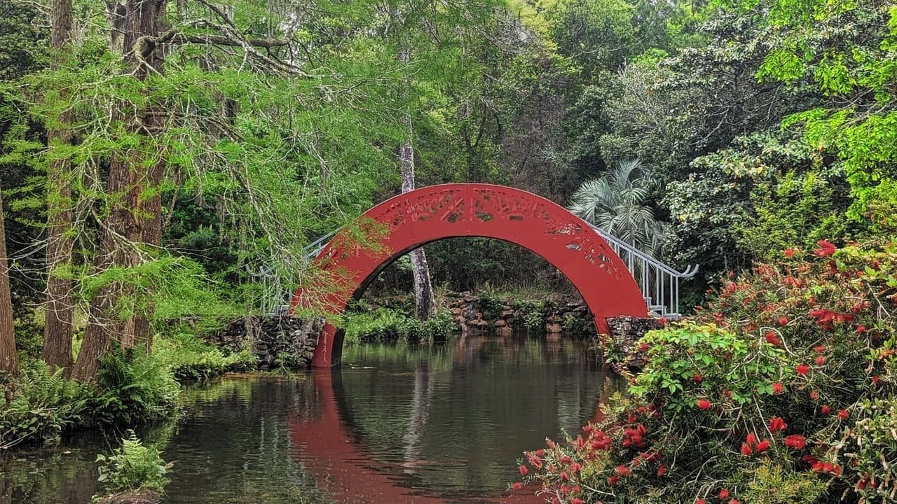 Gulf Coast gardens
