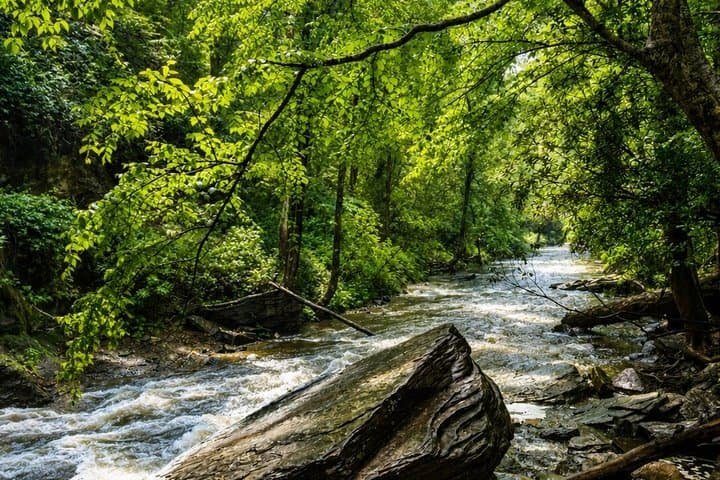 Sylva · Highlands · Brevard — view 4