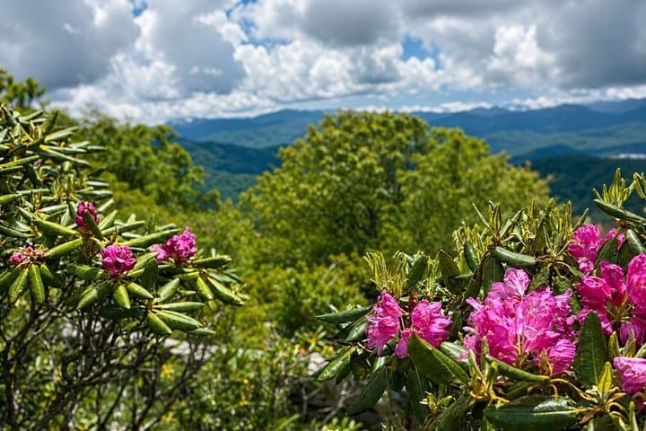 Asheville · Blue Ridge Parkway · Cherokee — view 2