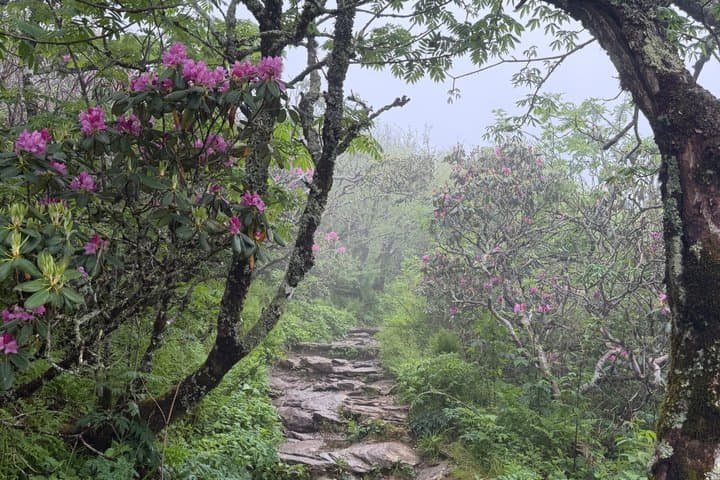 Asheville · Blue Ridge Parkway · Cherokee — view 3