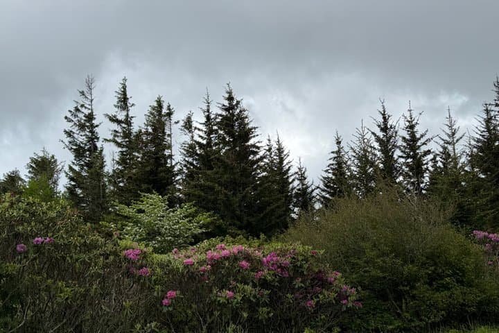 Asheville · Blue Ridge Parkway · Cherokee — view 4